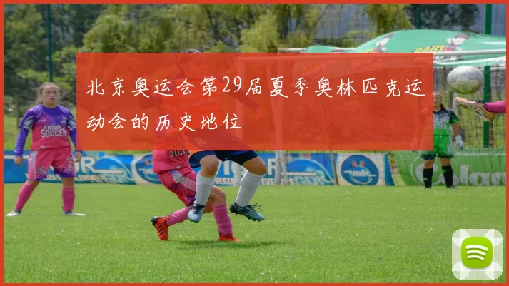 北京奥运会第29届夏季奥林匹克运动会的历史地位